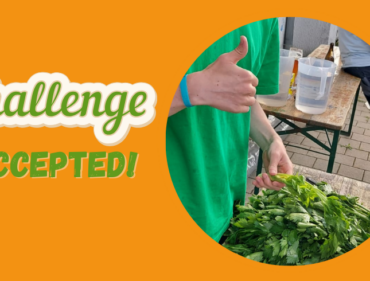 Challenge Freizeitküche